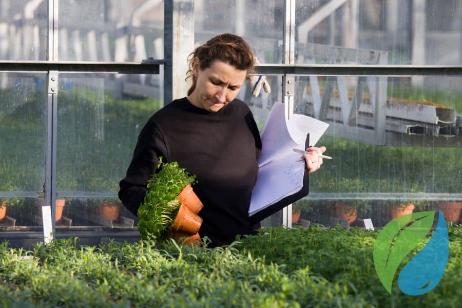 Disease Prevention In Herbs And Tender Edibles Phyton Corp