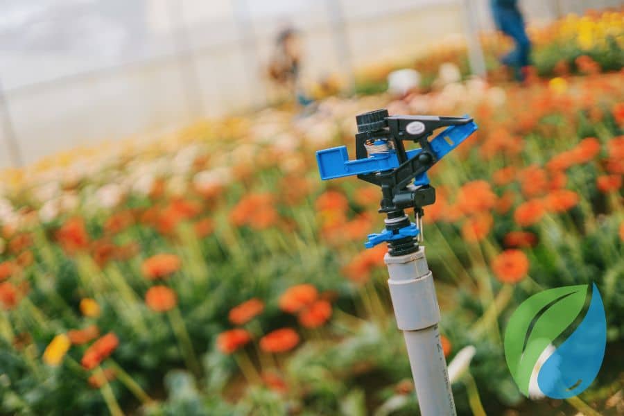 Irrigation Water Microbial Testing And Treatment Phyton Corp