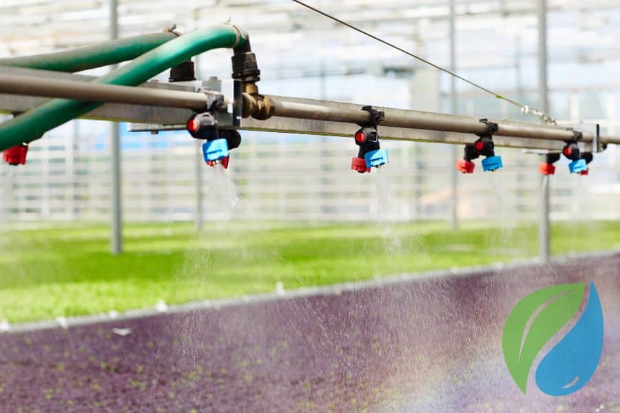 Microbial Water Testing For Irrigation Systems Phyton