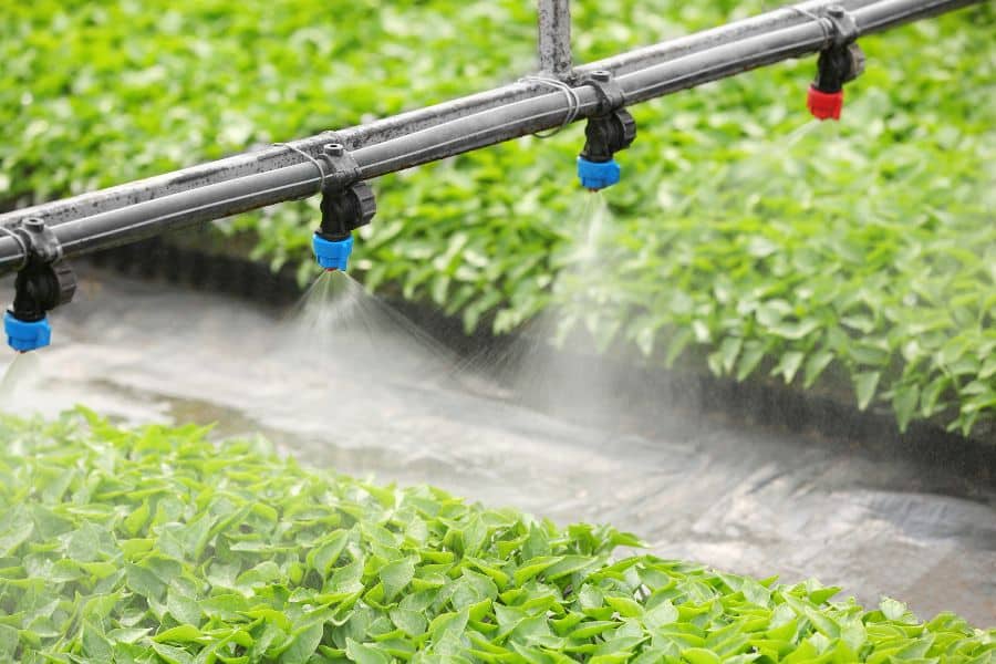 Phyton X3 Can Keep Irrigation Water Clean And Safe For Plants