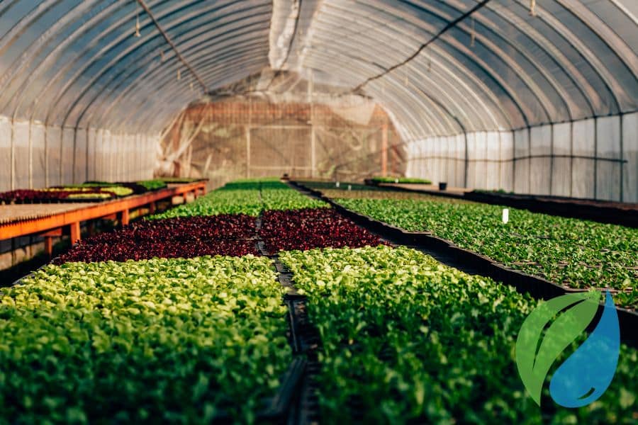 Protect Edible Plants For A Profitable Growing Season Phyton Corp