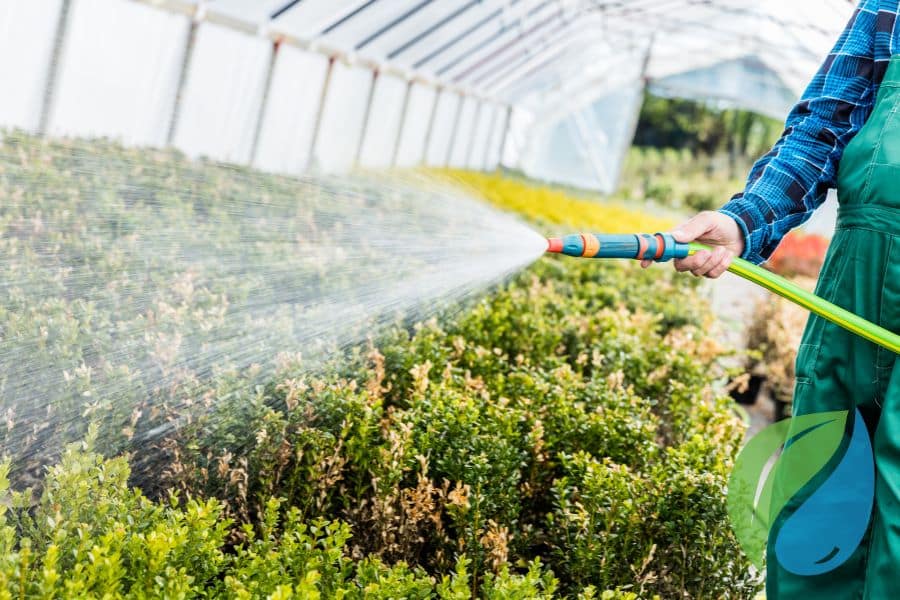 Understanding Ph And Alkalinity In Plant Disease Control Phyton